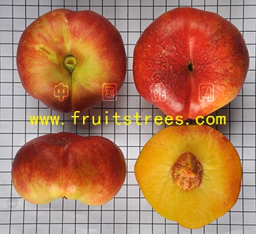 中油蟠桃5号蟠油桃