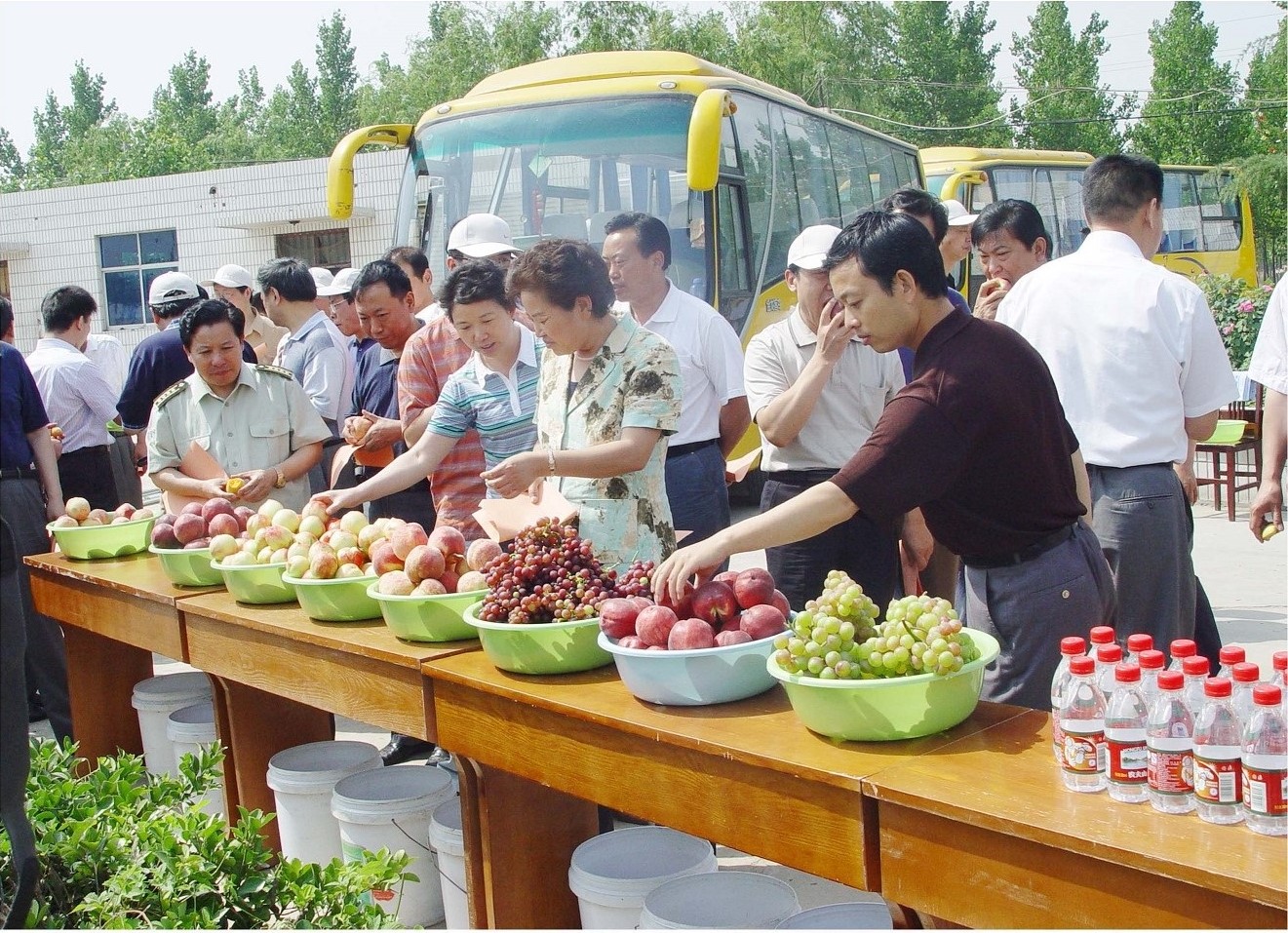 安阳市人民政府副市长葛爱美莅临哥仨合作社指导工作