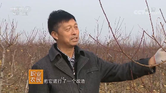 CCTV7走进哥仨合作社