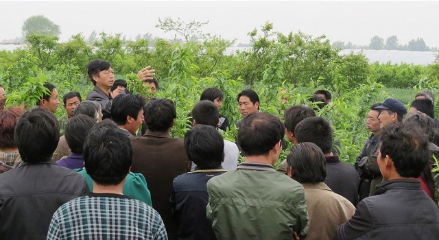 内黄县哥仨果树栽培专业合作社理事长