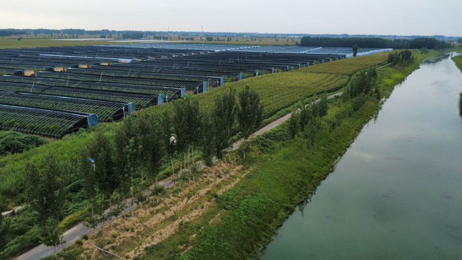 内黄县哥仨果树栽培专业合作社