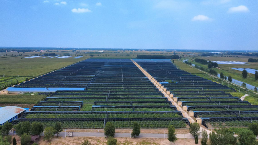 内黄县哥仨果树栽培专业合作社